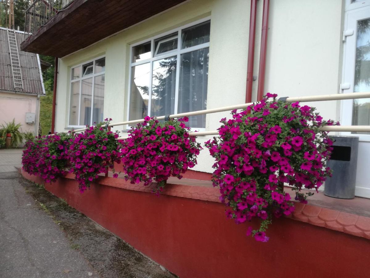 Sveciu Namai Aldaivita Ignalina Ngoại thất bức ảnh